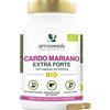 Amoseeds Cardo Mariano BIO | Extra Forte 1350mg / giorno, integratore con Silimarina | 120 capsule da 450mg | Disintossicazione del fegato, Depurazione, Digestione | Qualità Superiore