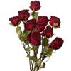 TooGet Bouquet di fiori secchi naturali, 10 pezzi di rose rosse secche per la decorazione di matrimoni e per la decorazione floreale fai da te della casa