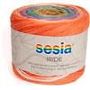 Kalapanta Gomitolo Cotone Biologico 100%, 450 m, 125 g, Filato Multicolore Sesia linea Iride (Fantasia - 4901, 1)