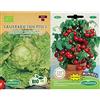 Germisem Biologico Grazer Krauthauptel 2 Semi di Lattuga Iceberg 1 g & Minibel Semi di Pomodoro 0.5 g