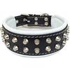 Bestia Rocky collare borchiato. Mano made. Bulldog francese a pastore tedesco