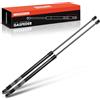 Frankberg 2x Ammortizzatore a molla a gas per cofano 4479801664 | Compatibile con: Camper Marco Polo W447, Classe V W447