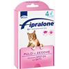 Formevet Fipralone Regular Fipralone 50 Mg Soluzione Spot-on per Gatti
