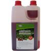 Start Lubrificante Motore 2T 1L - Olio Per Motori A Miscela Per Taglieria E Motoseghe, Prestazioni Elevate E Avviamento Rapido E Sicuro