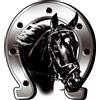 Avisa AutoStyle Adesivo Horse + Horseshoe - 6x7cm