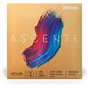 D'Addario Ascenté - Corda Mi per violino, scala 1/8, tensione media