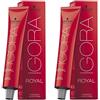Schwarzkopf Igora Royal 6-5 Confezione da 2 (2 x 60 ml)