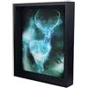 Pyramid International Quadro Immagine 3d Lenticular 24x29cm Con Cornice Expecto Patronum