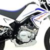Arrow Collettore Arrow Racing Per Malaguti X3M Enduro / Motard (09