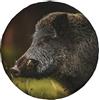 NIBABAEU Copertura per ruota di scorta per auto, cinghiale suino curiosamente che guarda la stampa, impermeabile e antipolvere copriruota borsa per pneumatici da 38 cm