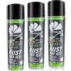 AABCOOLING 3x AABCOOLING Rust Off Ice 500ml - Convertitore Ruggine, Spray Sbloccante con Shock Termico -40°C, Convertitore di Ruggine per Auto, Moto, Utensili, Libera Bulloni e Dadi Bloccati, Antiruggine