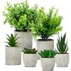 ACOMTUO 6 Pianta Finta Da Interno, Decorazione Per Soggiorno, Mini Piante Artificiali Lingua Di Serpente, Agave Succulenta, Piante Artificiali Per La Decorazione Dell'Ufficio Della Camera Da Letto