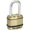 Master Lock Lucchetto ad Alta Sicurezza Ottimo per Portali, Garage