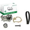Ina 530019131 Kit Tendicinghia | Compatibile con: DACIA LOGAN, LOGAN EXPRESS, LOGAN MCV, LOGAN Pick-up, SANDERO, RENAULT CLIO II, KANGOO