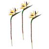 Flair Flower Fiore artificiale di strelitzie paradisiaco esotico ramo singolo fiore tropicale arrangiamento fiore stelblumel decorazione per feste a tema
