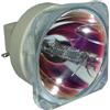 BenQ 5J.J8C05.001 LAMPADA PHILIPS SENZA SUPPORTO (SOLO BULBO)