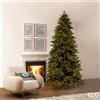 Enzo De Gasperi EDG Enzo de Gasperi Albero di Natale Pino Cristallo 270 cm Natural con 3100 Mini Led