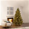 Enzo De Gasperi EDG Enzo De Gasperi Albero di Natale Pino Argentato H210 cm con 4000 Mini Led