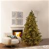 Enzo De Gasperi EDG Enzo De Gasperi Albero di Natale Pino Argentato H240 cm con 5000 Mini Led