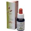 ADAMAH Srl Eie Equiseto 30ml