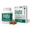 INNOVET ITALIA SRL CONDROSTRESS MOBILITY 60CHEWS IN