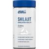 Applied Nutrition Shilajit Himalayan Health 90 cps
