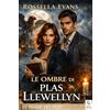 Decima Musa Edizioni Le ombre di Plas Llewellyn