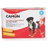 Camon Pannolini a fascia elastica per cani maschi Camon Misura 46-60 cm - 1° ORDINE? 20% di sconto SU BRAND ESCLUSIVI, codice BZR20