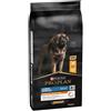 Purina Pro Plan Large Robust Adult Everyday Nutrition Crocchette per cani 14 kg - Croccantini per cani - 1° ORDINE? 20% di sconto SU BRAND ESCLUSIVI, codice BZR20