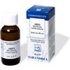 SARANDREA MARCO &C. Srl ABIES PECTINATA MG 60ml - Integratore di Abete Rosso per il Benessere Naturale