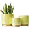 Gepege Vasi da interno per piante, fioriera in ceramica con foro di drenaggio, 15,2 cm + 12,7 cm + 10,2 cm. Vaso per fiori di orchidee grasse - Smalto arcobaleno perlato