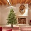 Enzo De Gasperi EDG Enzo de Gasperi Albero di Natale Pino Luxury 180 cm con 3000 mini led D136