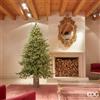 Enzo De Gasperi EDG Enzo de Gasperi Albero di Natale Pino Luxury 210 cm con 4000 mini led D142