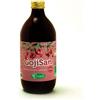 Sangalli Laboratorio Erboristico GOJISAN PURO SUCCO GOJI 100%