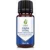 LS & C Nutrition | Papa Vital 1x10 g Sfere