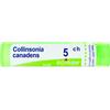 BOIRON Srl Collinsonia Canadensis 5CH Boiron Granuli 4g