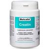 BIOTEKNA SRL MELCALIN CREATIN 190G