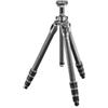 Gitzo GT3542 Serie 3 Treppiede, Mountaineer, 4 Sezioni in Carbonio, Grigio/Nero