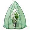 VOUNOT® Serra da Giardino, Serra da Balcone Invernale con Porta a Cerniera e Finestra a Rete, per Verdure, Piante, Fiori, 160x160x180cm, Verde