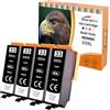 Starlet24 4x 33XL Nero Multipack Compatibili con Epson 33XL BK 33 XL Nero per Epson XP7100 Cartucce XP-540 XP-530 XP-630 XP-635 XP-645