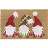 HANSE Home Zerbino in cocco per interni, colore naturale, motivo gnomo, antiscivolo, per corridoio, ingresso, 45 x 75 cm