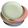 WANBY Servizio Piatti in Plastica Leggeri Grandi Indistruttibili per Cena Riutilizzabili e non Tossina Lavastoviglie e Forno a Microonde Sicuri e Sani per Bambini e Adulti (23cm 4 Pezzi)