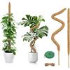 AMSGANK 2 Pezzi Bastone di Muschio, 60cm Palo di Muschio Pieghevole Supporti per Piante Fibra di Cocco Tutore Muschiato per Monstera per Piante Rampicanti da Interno