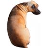 XIAOHONG Cuscino per cani con simulazione 3D, 50 cm, divertente cuscino di peluche Shiba Inu per la decorazione della casa (hound)