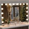 ANYHI Grande Specchio Trucco con Luci, 91 x 62 cm Specchio Trucco Hollywood con 16 LED Lampadina Dimmerabile, 3 Modalià di Illuminazione, Compreso 10X Ingranditore (Argentato)