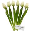MIJOMA Tulipani artificiali, fiori artificiali, Real Touch, decorazione da tavolo (6 pezzi, lunghezza 27 cm, bianco)