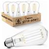 BHMAOYN 12V LED E27 Lampadina a Vite,6W Bassa Tensione Bianca Fredda 5000K,ST64 6W E27 Lampadine AC/DC 12-24V Retrò E27 Luci LED 60W Equivalente,Per Camper Camper Marine,Pakc of 6