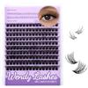 WENDY LASHES Ciglia Finte C3 con Ciglia Inferiori - Ciuffetti 10-16mm Curl D, Kit Extension Ciglia Naturale per Principianti, Effetto Wispy Morbido per Tutte le Occasioni(C3)