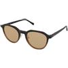 Crullé Trendy C3-B | Occhiali da Sole Graduati o Non Graduati | Prova Online | Unisex | Plastica | Panthos | Nero, Marrone, Trasparente | Adrialenti