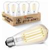 BHMAOYN 12V LED E27 ST64 Lampadina,6W=60W Lampadine a bassa tensione Bianca Calda 2700K DC12-24V antico retrò E27 luci LED,Per il sistema solare,camper Campervan Marine,Set di 6